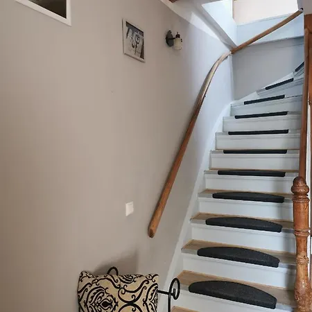 Tweet Tohuus Apartment Feldberger Seenlandschaft Exterior photo